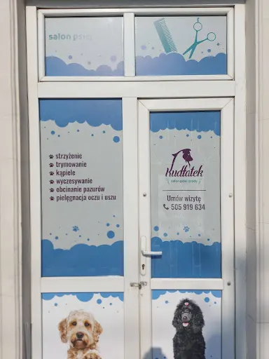 Kudłatek Salon Psiej Urody Psi Fryzjer